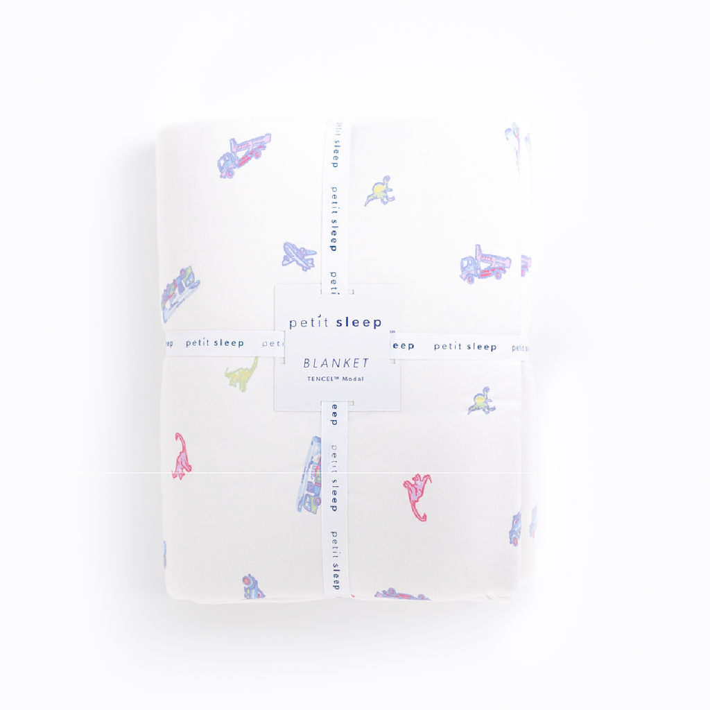 "Blanket  - Planes, Trucks & Dinos"